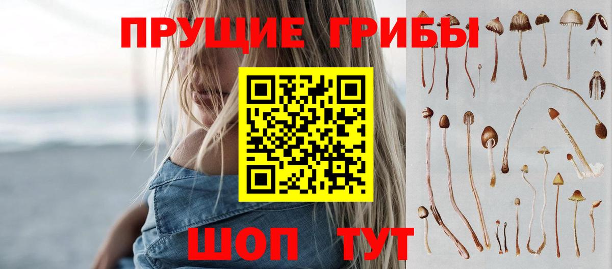 Россошь  Галлюциногенные грибы GOLDEN TEACHER  Вход с VPN 